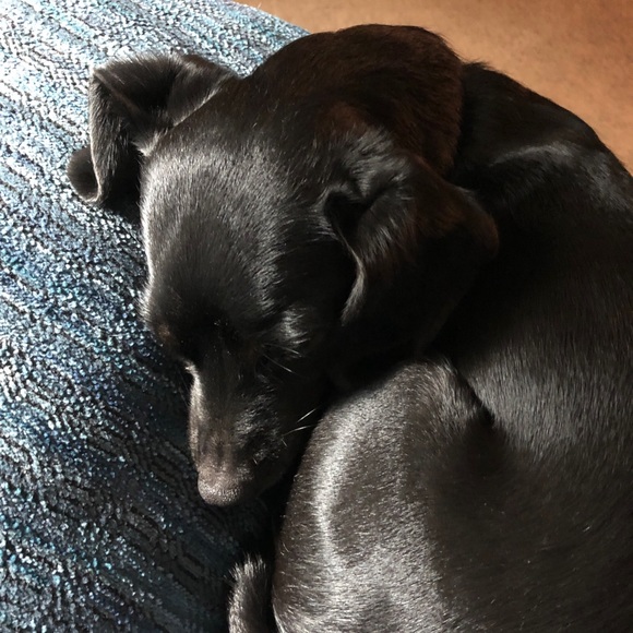 Meet your Posher, Becky - Picture 1 of 1